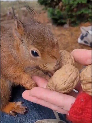 #friend #lovelovelove♥️ #sweetlittlefriend #missyoulove #pablo