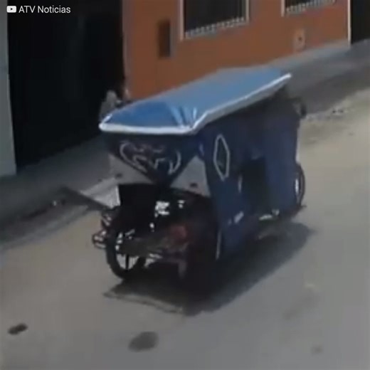 9.5K views · 295 reactions | Elizabeth est sortie à la porte de sa maison pour discuter au téléphone. Elle était accompagnée de son chien fidèle Draco. Quand soudain, un délinquant s’est approché pour l’agresser. Cependant, son animal de compagnie s’est interposé devant le malfaiteur. Cet acte de courage aurait pu coûter la vie à ce jeune chien… | Le Kiwi | Facebook