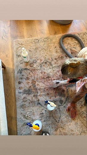 Astro had fun getting into some dry red velvet cake mix but FFC was able to shake & bake the stain from this wool rug. | Frogs Floor Care | Facebook