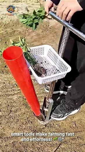 Planting & Weeding Process — The Right Tools Make Work Easy 🌱⚙️