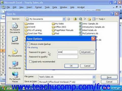 Excel 2003 Tutorial Password Protecting Excel Files Microsoft Training Lesson 32.4