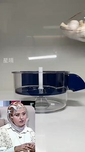 جهاز تقشير العنب والثوم #meatloaf #broccoli | Mona Amer