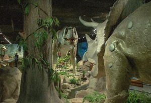 Las Vegas Natural History Museum | Hitachi Topflow VRF Heat Pump Solution project in Las Vegas, Nevada