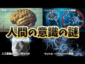 [Slow explanation] What is human consciousness?