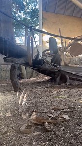 The Calgary Zoo on Reels