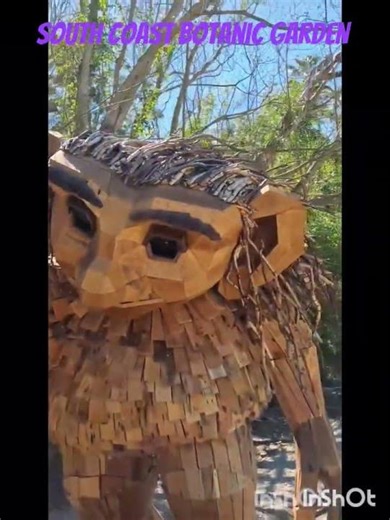 BIRCH: SOUTH COAST BOTANIC GARDEN #chroniclesofmylife #hiddengems