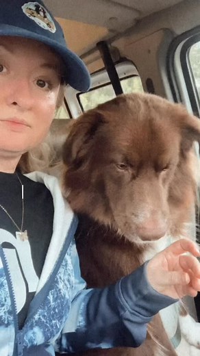 5 comments | Another Fluffy Bus miracle  Tesla has been adopted! Proof that love, vision, and action can change lives — one dog at a time.  #FluffFreedom #RescueToForever #MyrtleBeachDogs” #Adopted #ForeverHome #RescueDog #RescueStory #HappyTails #SecondChance #FromShelterToSofa #LoveWins #AdoptDontShop #DogRescueJourney #FureverLoved #RescuedIsMyFavoriteBreed #AdoptionDay #ProudRescueMom #DogLove | The Fluffy Bus | Facebook