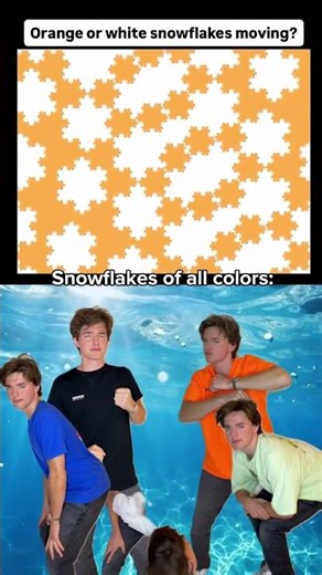 Which snowflake is moving? 😮