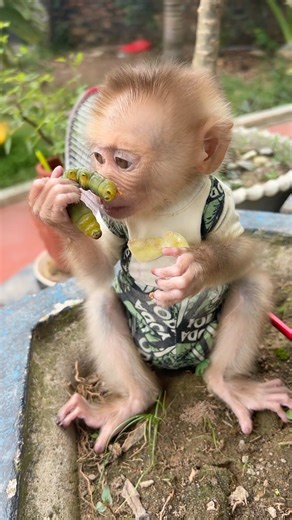 Bin put the worm down and walked away.