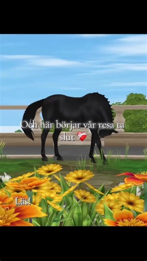 Min fina fina Nico, tack för dessa 10 år. ❤️‍🩹 Nu har jag bestämt mig för att Nico ska börja gå lektioner på stall SS ett tag, för att se hur han passar in där. Jag kommer fortfarande stå som ägare på honom, men han kommer skötas av SS’s personal & jag kommer förmodligen inte träffa honom annat än på besök & lektioner jag håller i ❤️‍🩹 Detta kanske ändras i framtiden om han inte trivs som ridskolehäst. Han söker både skötare & medryttare, ev fodervärd. ❤️ Jag kommer inte gå ut med varför jag t