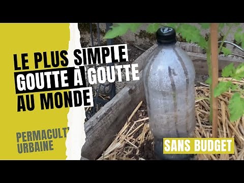 How to create and install a very simple drip with bottle and without budget?
