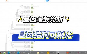 【基因家族分析】3基因结构可视化