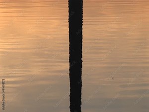 The Washington Monument reflects in the Reflecting Pool.