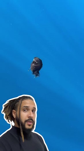 Desvendando o Mistério do Peixe Diabo Abissal de Procurando Nemo
