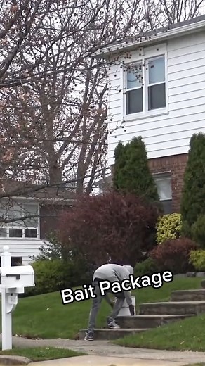 Bait Package Prank - What Would You Do? | Joey Salads