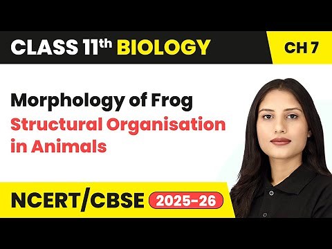 Morphology of Frog - Structural Organisation in Animals | Class 11 Biology Chapter 7 | CBSE 2025-26