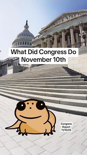 9.2K views · 21 reactions | Congress Activity Report | November 10th...