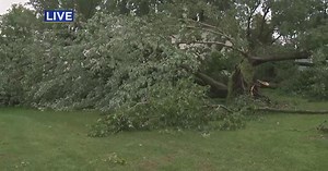 Cleanup underway after storms leave swath of damage in Apple Valley
