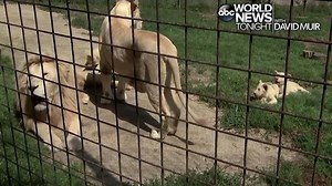 40K views · 2.7K reactions | RARE QUINTUPLETS: Five critically...