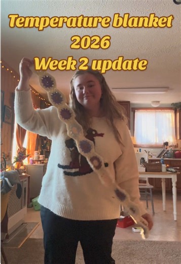 Temperature Blanket Week 2 Update: Colorful Progress
