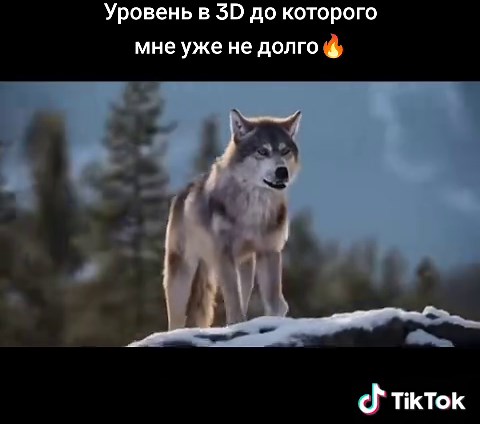 Advanced 3D Animation Techniques Using Blender