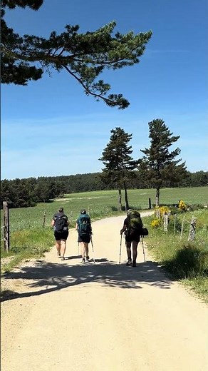✨ Ce que le chemin de Compostelle change en nous