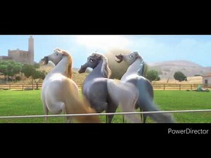 ferdinand: horse shaking butts for 2 minutes