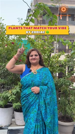 @astrosantoshsahni on Instagram: "Every zodiac sign carries a unique frequency — and so do plants. From the bold charisma of Leo’s Crotons to the mystical calm of Scorpio’s ZZ Plant, each one mirrors your essence in nature’s language. 🌙🌿 These plants don’t just decorate your home — they balance your aura, support your energy, and nurture your cosmic rhythm. ✨ Let’s find your botanical soulmate: ♒ Aquarius – Birkin: Innovative & effortlessly cool ♑ Capricorn – Bonsai: Grounded mastery & quiet d