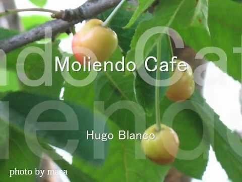 Moliendo Cafe :Hugo Blanco / ｺｰﾋｰ･ﾙﾝﾊﾞ :ｳｰｺﾞ･ﾌﾞﾗﾝｺ