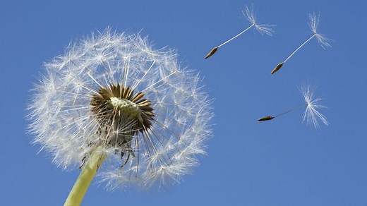 Overview - Walking Away by C Day-Lewis - AQA - GCSE English Literature Revision - AQA - BBC Bitesize