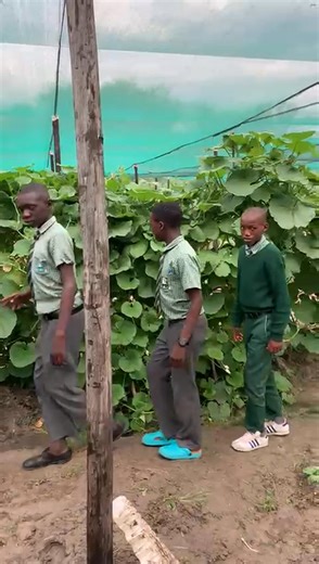 Kapande Foundation Changing Lives in Kavango East From Hunger to Hope By Faustinus Kakupa DIVUNDU, Oct 30 – The Kapande Foundation in the Mukwe Constituency of Kavango East is making a remarkable impact on community livelihoods through agriculture and education. The foundation’s horticulture projects provide residents with a steady supply of fresh vegetables and eggs, helping to improve food security and nutrition in the area. Local schools have also joined hands with the foundation, bringing le