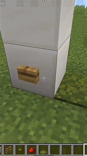 minecraft invisible door #shorts