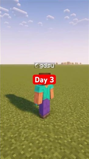 I Named all of the Minecraft Blocks (Day 3) #ayeshavilla