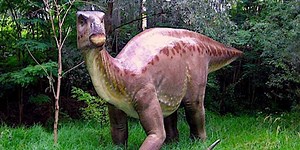 The first dinosaur brain reveals something experts never expected to see