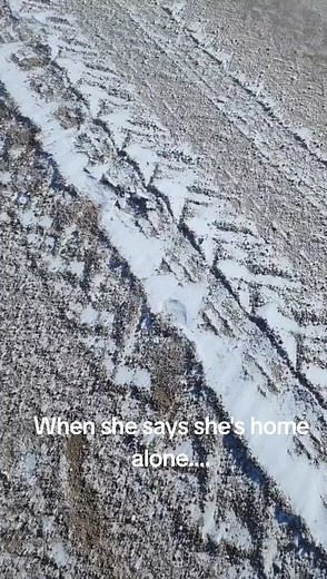 Snow Plow Adventure: Deep Snow Challenge