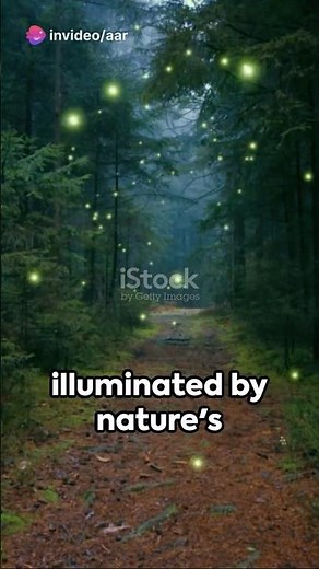 Photuris: The Phenomenon of Synchronous Fireflies