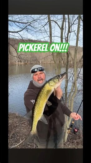 Nice Pickerel while Crappie fishing 💥🔥💯🐟#fishing #shortvideo #shorts #youtubeshorts #short