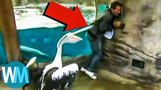 66K views · 65 reactions | And you'd think being a weather reporter was an easy job. You'd be wrong, though. In fact, it's the MOST DIFFICULT JOB on the planet. Don't believe us? Just watch! | WatchMojo | Facebook