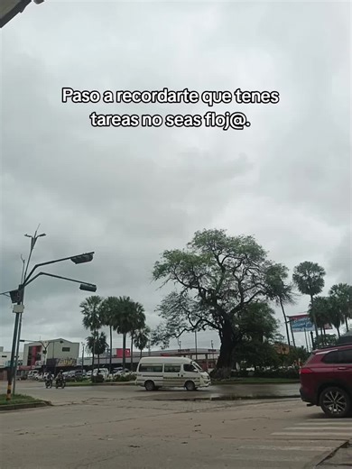 hagan sus tareas #contenidos #montero #tareas #cole