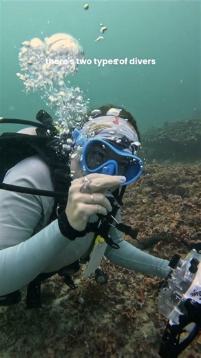 are you team pelagic vs macro?🦈🐢 I’m both depending on the day and what lens I have on my camera