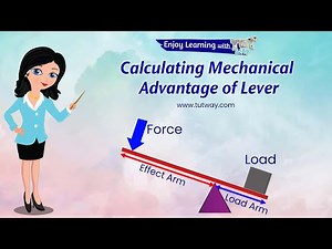 Simple Machines - Levers | Mechanical Advantage of a Lever | Examples of Levers | Science