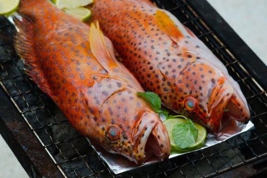 What Does Grouper Taste Like? Red Vs. Black