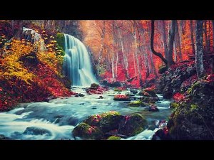 Beautiful Relaxing Piano Music, Instrumental Music, Rain sounds "Autumn Rain" by Tim Janis