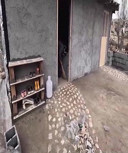 Single Mom Turns Abandoned Farm Bricks into Shoeshelf Planting Walnut Saplings. #nomadicfamily #villagelife #rurallife #Nomadiclifestyle #fatherdaughters #singlefathers #InspirationalStory #HumanStrength #LoveAndSacrifice | Cooking Technique