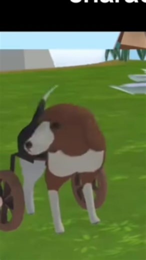 FDAAF (@fdaafoundation)’s videos with original sound - FDAAF