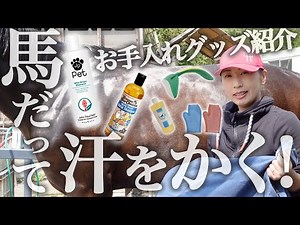 オススメの馬用シャンプーと洗い方、ドライラグについて解説します！