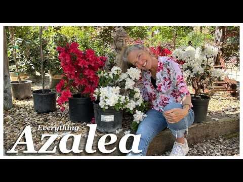 Azalea Adventures: Discovering New Varieties, Then Planting My Own! 💖#gardentour #gardeninspiration
