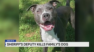 Watch: Bodycam footage shows Missouri deputy shoot family dog