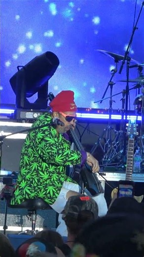 Cat Coore [Third World] Redemption Song - Reggae on the River 2025