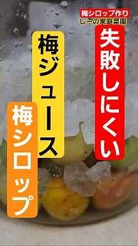 これ使うと発酵等の失敗が減る！梅シロップを作ろう♪少しだけ公開《しーの家庭菜園＊梅シロップ》